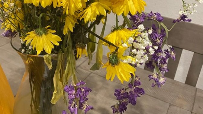 Does anybody know what these flowers are called?