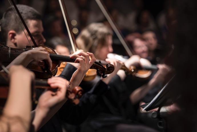An orchestra is a group of musicians with a variety of instruments, which usually includes the violin family.