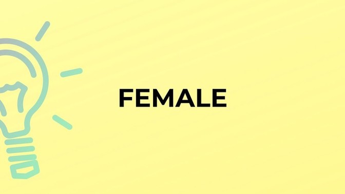 Is calling a woman a female offensive?