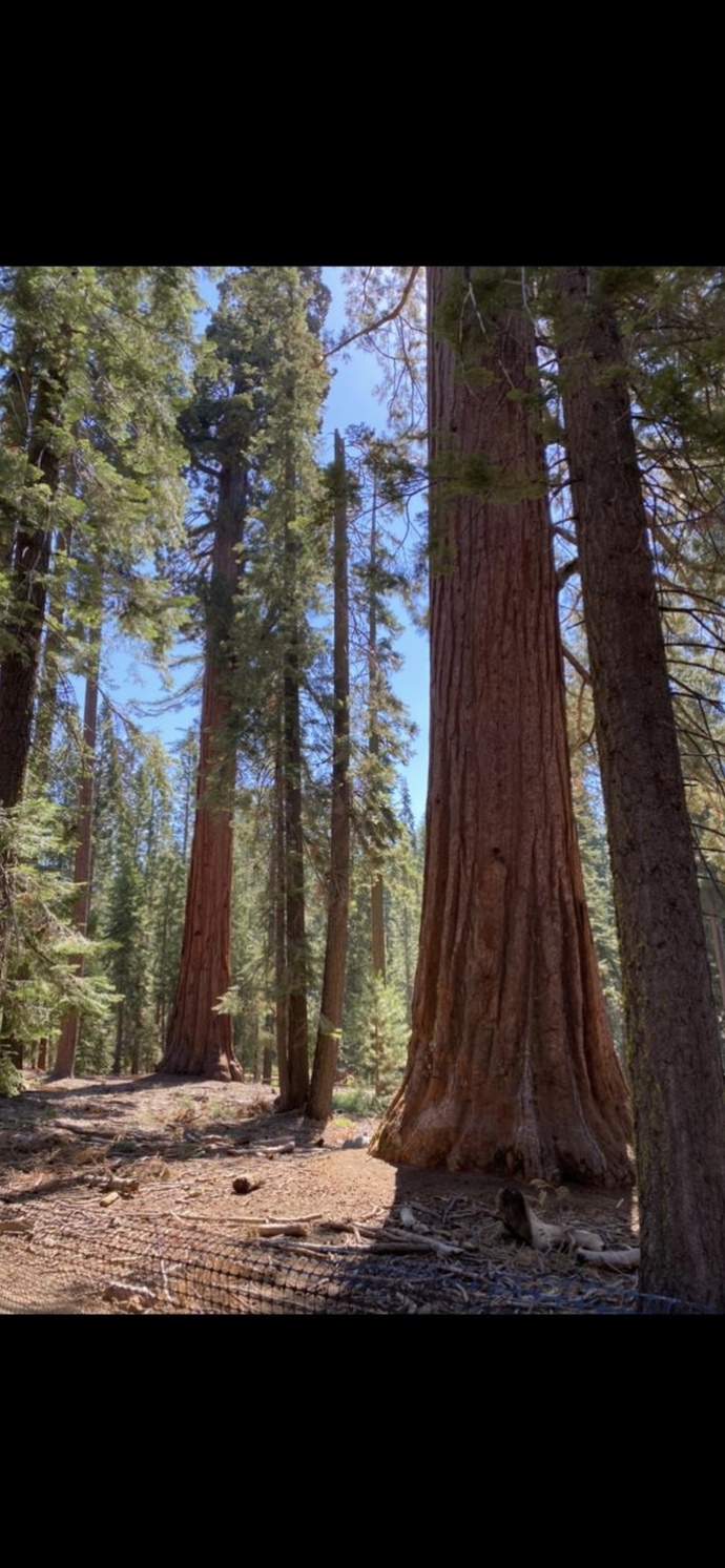 Do you enjoy national parks? Which ones do you want to go to?