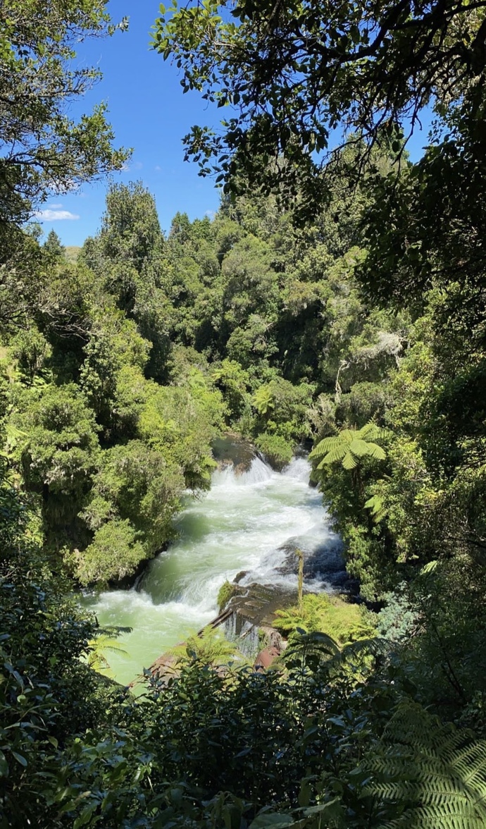 Do you enjoy national parks? Which ones do you want to go to?