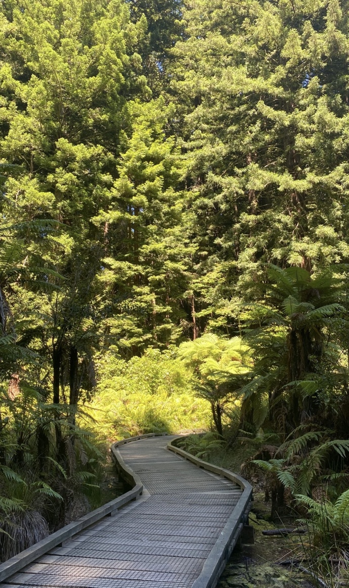 Do you enjoy national parks? Which ones do you want to go to?