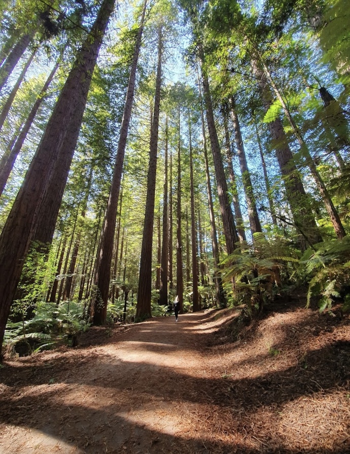 Do you enjoy national parks? Which ones do you want to go to?