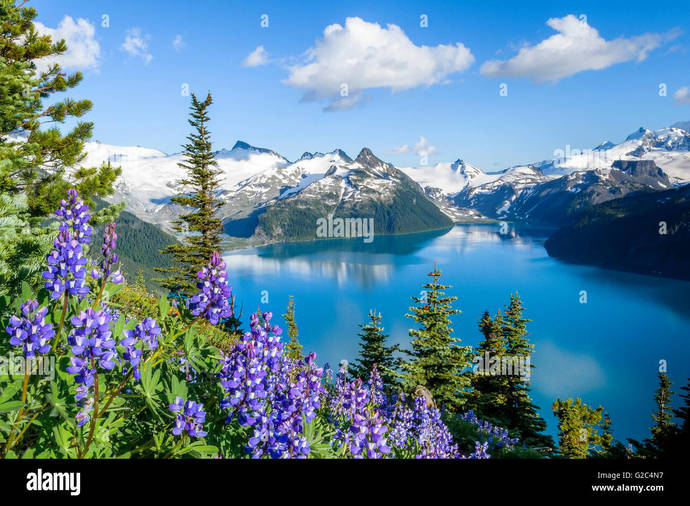 Can’t believe this is a real place
