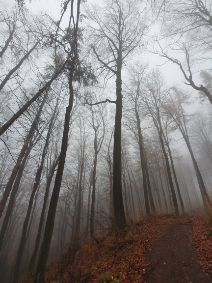 Do you enjoy national parks? Which ones do you want to go to?