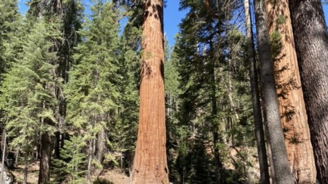 Do you enjoy national parks? Which ones do you want to go to?