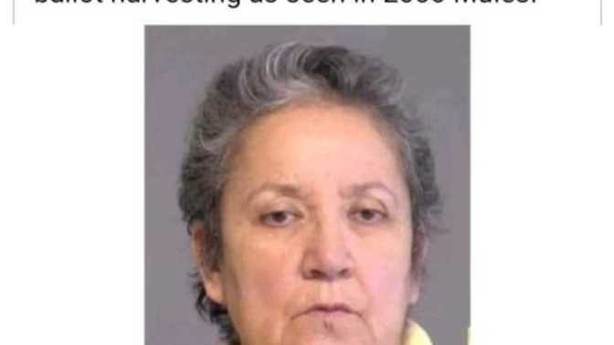 Have you seen first DNC cheater convicted , pleads quilty to voting fraud?