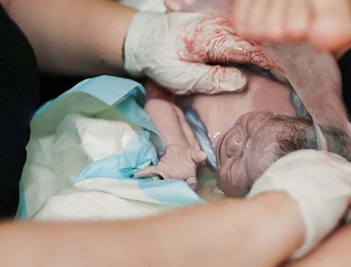 When does human life begin?