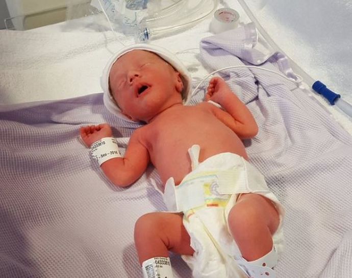 When does human life begin?