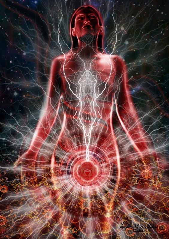 When does human life begin?