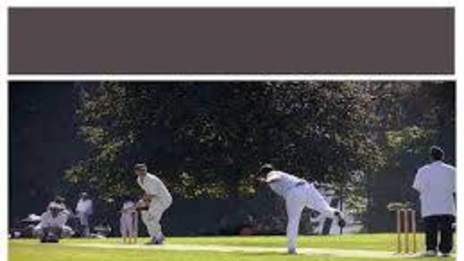 Who is best cricketer in dubai?