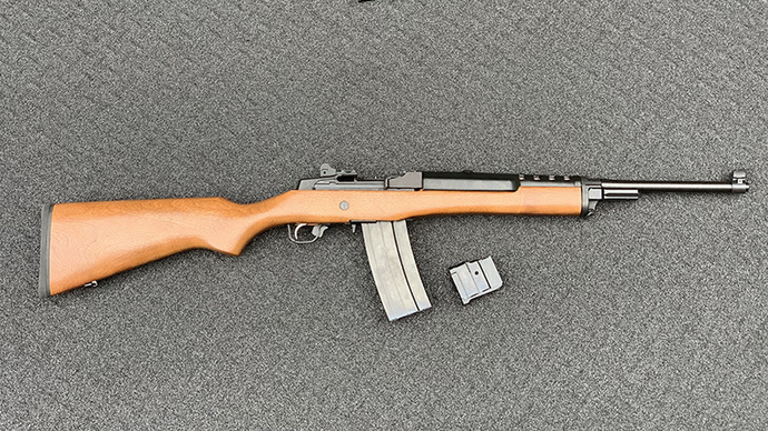 Do you think the government just wants to take your AR-15's?