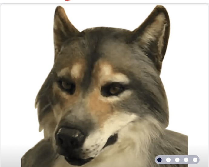 Realistic wolf mask