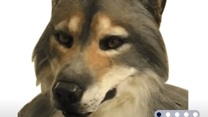 Has anyone bought this realistic Mask and got what they paid for?