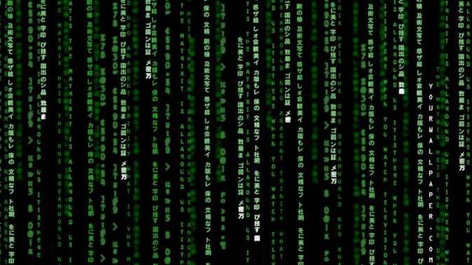 Do you think we could live in a simulation?