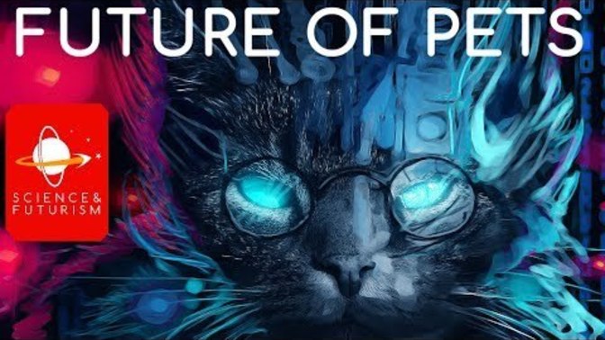 If you could genetically engineer your pet, what would you change? Would you go as far as to create a new species to have as a pet?