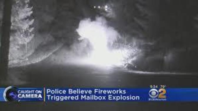 Are fireworks legal where you live?