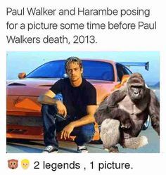 If Paul Walker were alive today what do you think he would say to you incels and cucks?