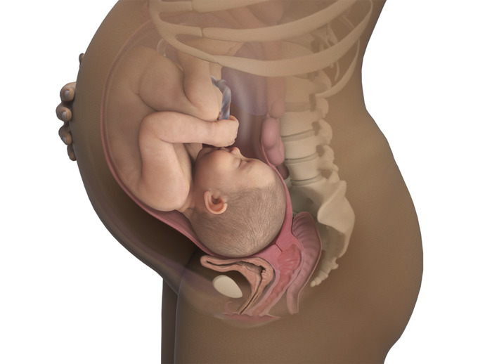 Should we now have Life Holiday now that Abortion has been overturned by Supreme Court?