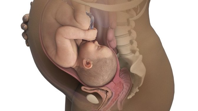 Should we now have Life Holiday now that Abortion has been overturned by Supreme Court?