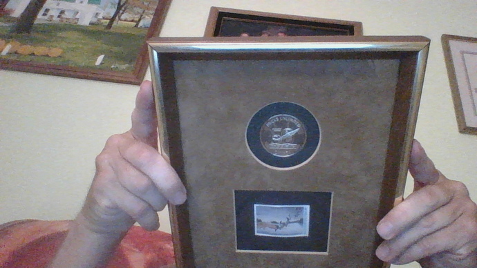 So I put up a Palladium coin and a stamp framed on etsy and they took it down for violation , Does Etsy just have stupid policies?