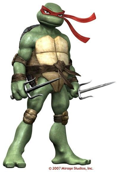 Whos your favorite Teenage Mutant Ninja Turtle?