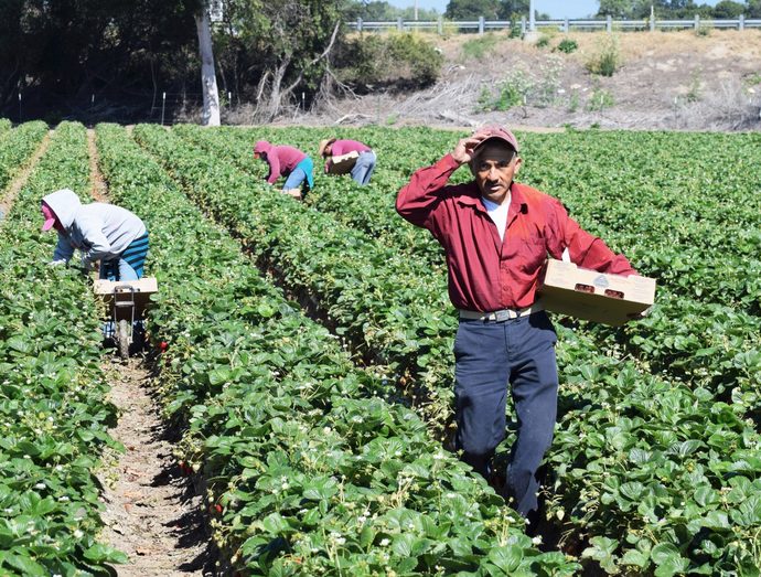 This question inspired by Curmy. Liberals love and adore illegal labor. But to what end?