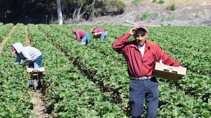 This question inspired by Curmy. Liberals love and adore illegal labor. But to what end?