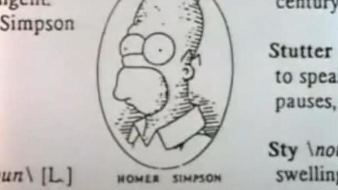 How would you react if you looked up the word 'stupid' in the dictionary and saw your face there?