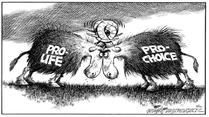 Rights: Women vs. Fetuses