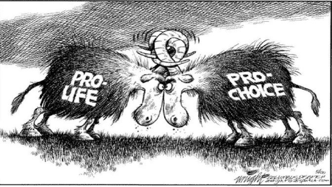 Logically, should the government, especially the Federal government, have any right to pass laws controlling abortion?
