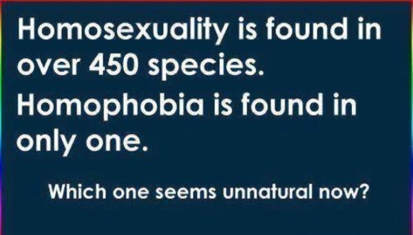 Why do you love LGBTQ people?