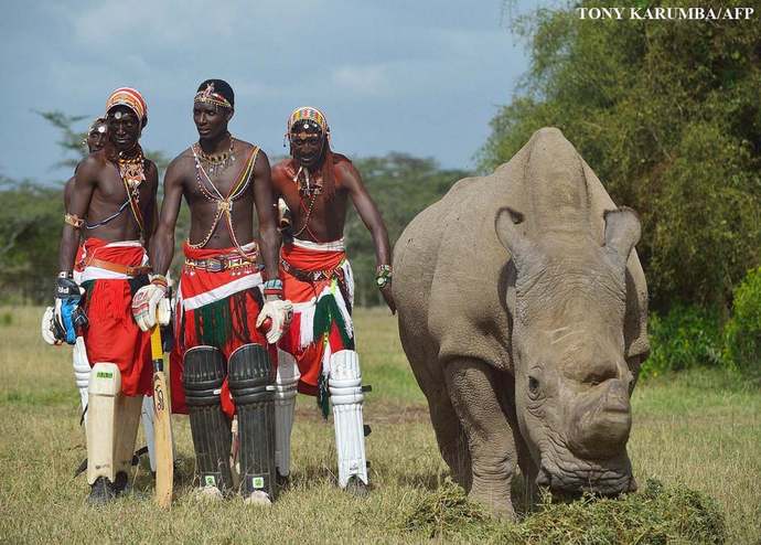 Agree OR Disagree: Caging Animals At The Zoo For Human Entertainment Is A Form Of Animal Cruelty?