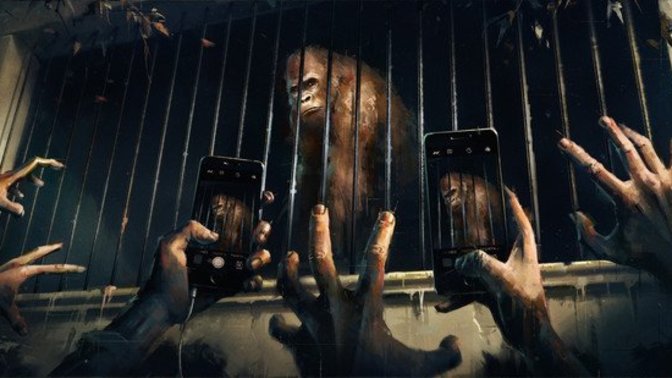 Agree OR Disagree: Caging Animals At The Zoo For Human Entertainment Is A Form Of Animal Cruelty?