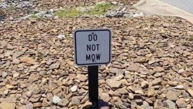 Have you let the grass grow?