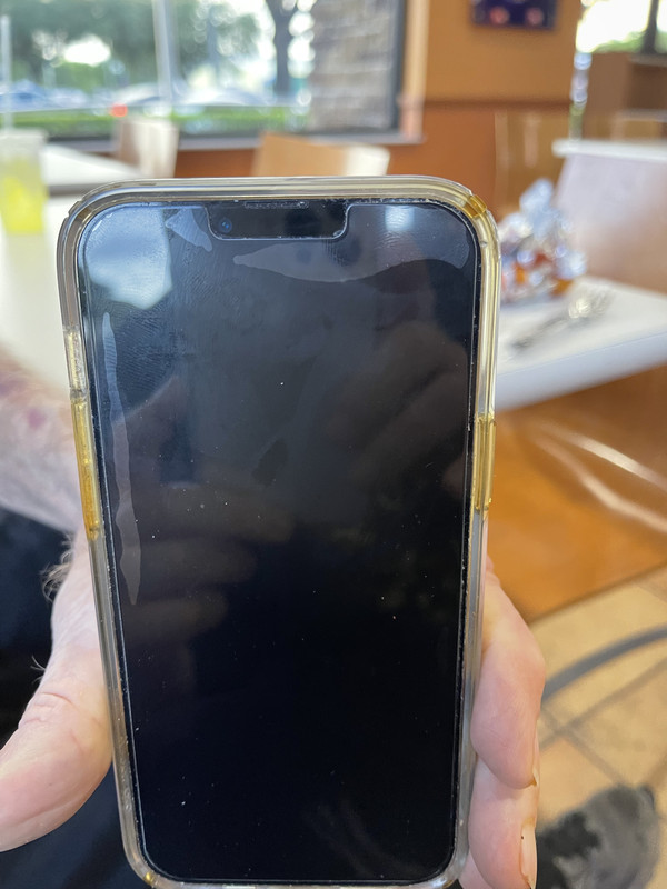 Does anyone know what are these strange bubbles on my friends IPhone screen?