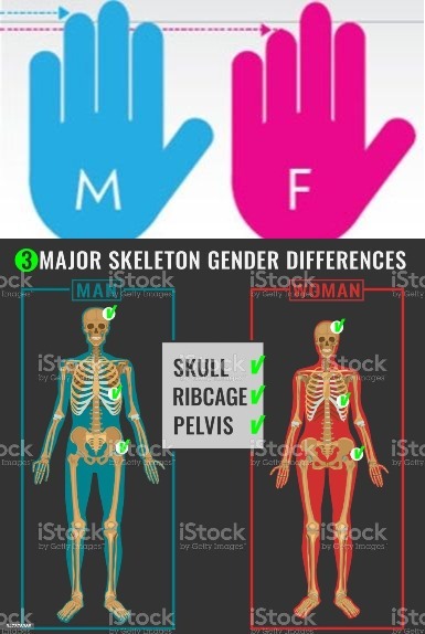 (Seriously) Is it strange to you how every single politician has the digit ratio of the opposite gender?