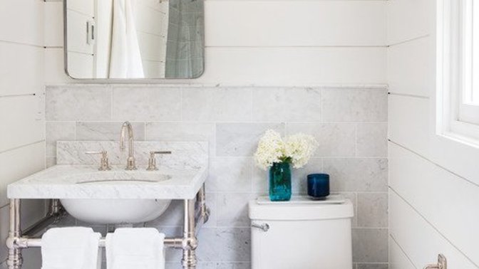 Did you ever find anything strange or unusual in your toilet?