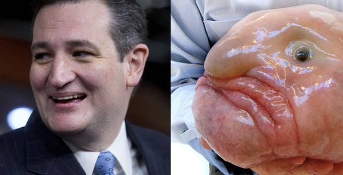 Does Ted Cruz like picking fights with certain folks - first he went after Dr. Seuss, now he is going after Elmo - Who is his next target - Santa?