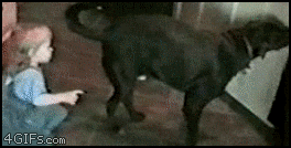 How do you feel about dog butt?