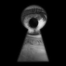 If you found out a guy hired a Private Eye to check you out before you go on a date , what would you do?