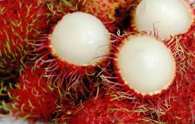 What if your favorite fruit?