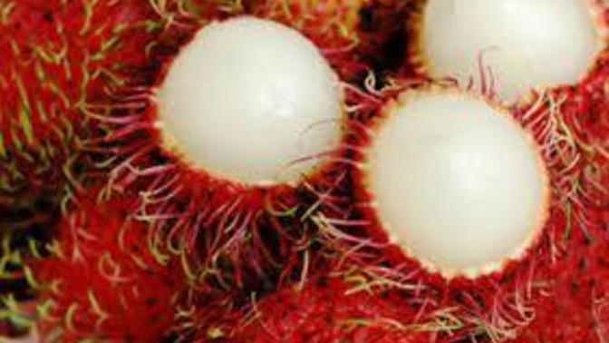What if your favorite fruit?