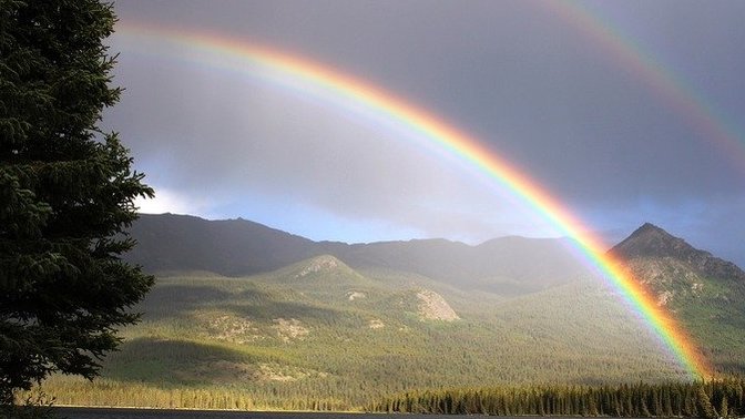 Do you think that while we all go through hard times, "every storm runs out of rain"?