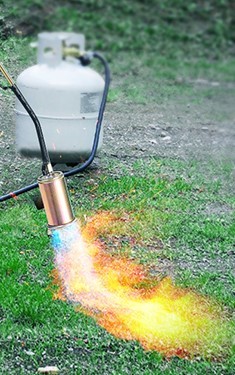 Now hold real still, this won't take long