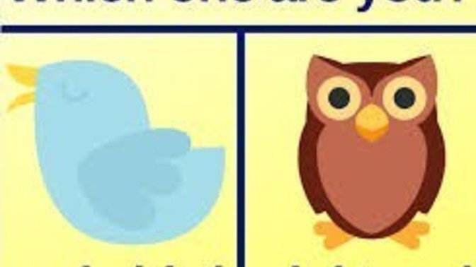 Early bird or Night owl?