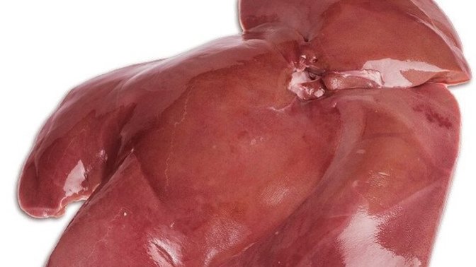 Do you eat raw meat?