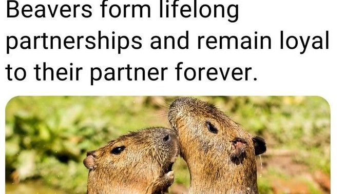 Do you believe that there is true and lasting love and in forever?