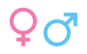 If you could chose would you rather have a baby boy or a baby girl? Why or why not?