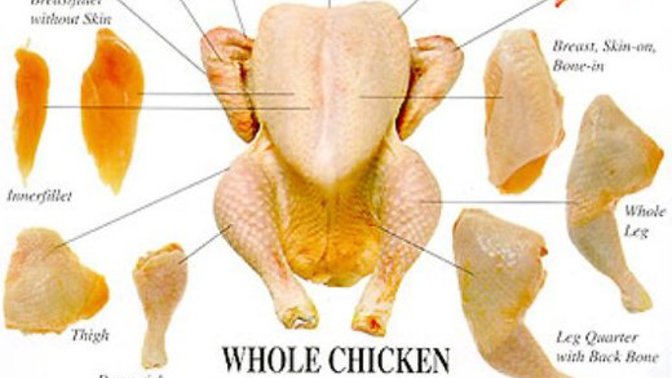 What’s your favorite part of the chicken?